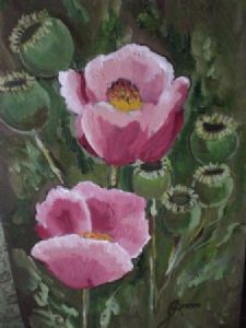 "poppies"