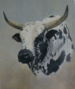 "Nguni #3"
