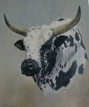 "Nguni #3"