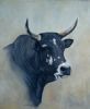 "Nguni #4"