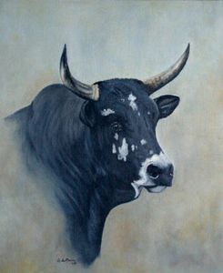 "Nguni #4"