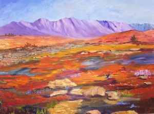 "Rain in the Karoo"