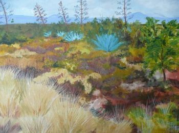 "Klein Karoo Clanwilliam District"