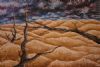 "Sand Dunes"