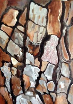 "Nature Abstract 3-Pine Bark"