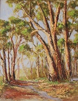 "Bluegum Trees"