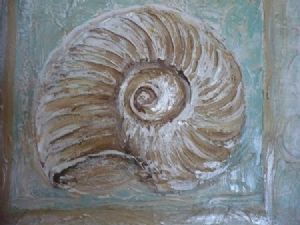 "Shells"
