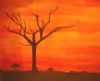 "African Sunset -Tree"