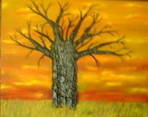 "Boabab Sunset"