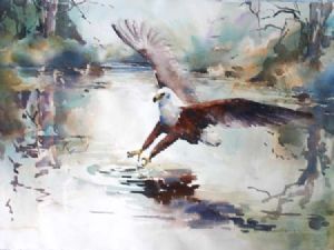 "Flying Fish Eagle"