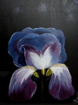 "Iris"