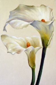"two arums"