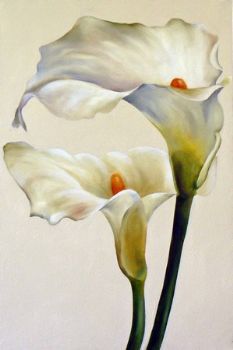 "two arums"