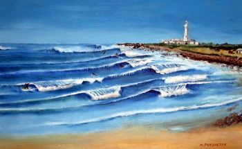 "Seal Point"