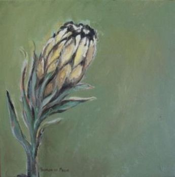 "Fynbos 1, Blousuikerbos"