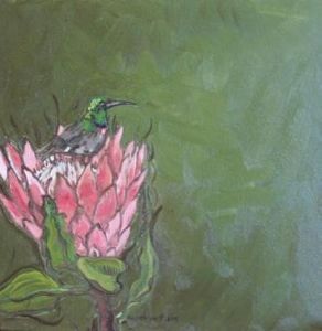 "Fynbos 16, KoningsproteaSuikerbekki"