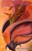 "Feminine Divine"