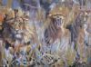 "Lions"