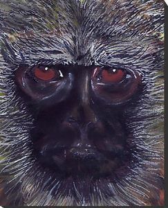 "African Wildlife: Vervet Monkey"