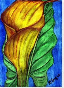 "Yellow Arum Lily #2"