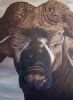 "Buffalo close up"