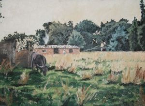 "Elandsfontein"