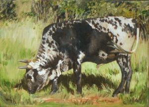 "Nguni 13 -"
