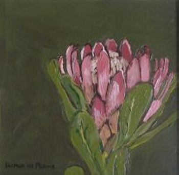 "Fynbos 5, Botrivier protea"