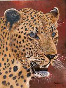 "Leopard"