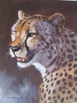 "Cheetah"