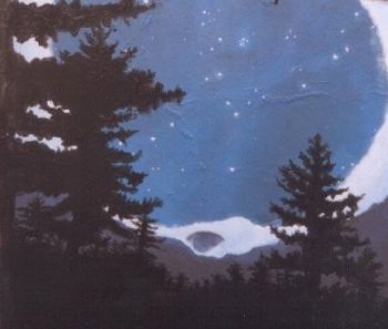 "Forest Night"