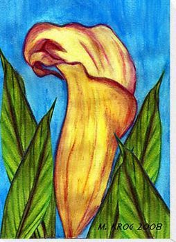"Yellow Arum Lily"