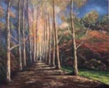"Forest"