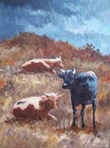 "528 Cows"