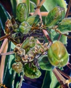 "Green Aloes 3"