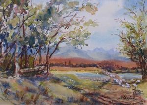 "Outeniqua Farm 2"