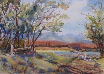 "Outeniqua Farm 2"
