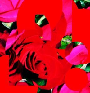 "Flowers for All"
