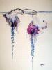 "Bluebottle jellyfish"
