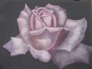 "Single Rose"