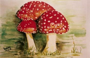 "Spotted Mushrooms"