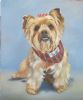 "Dog Portrait - commission"