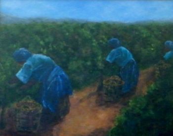 "Harvesting Grapes in the Overberg"