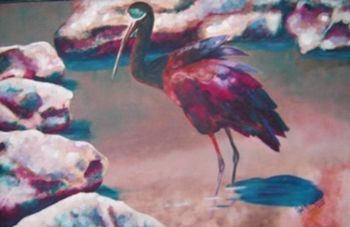 "Shining Ibis (Blink Hadeda)"