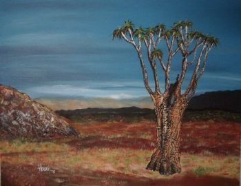 "Kokerboom, Rigtersfield"