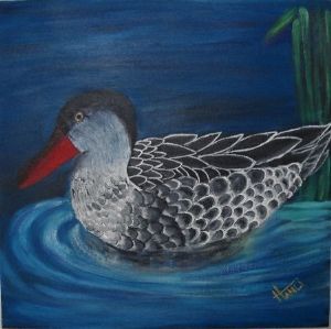 "Red-Billed Teal - Grey"