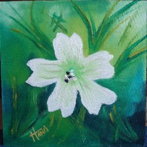"Wild flower 3 -Clarens - Goldengate"