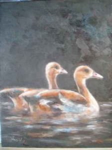 "Egyptian Geese"