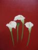 "Arum Lilies"