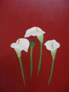 "Arum Lilies"